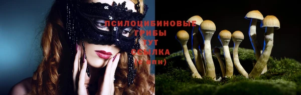 каннабис Богданович