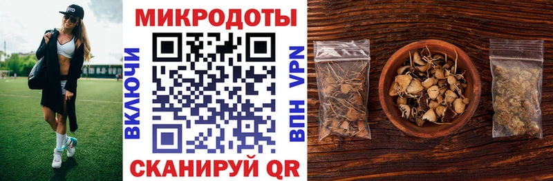 сайты даркнета как зайти  Черняховск  Галлюциногенные грибы GOLDEN TEACHER 